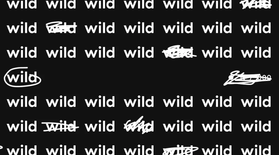 wild. creating digital products for brands.