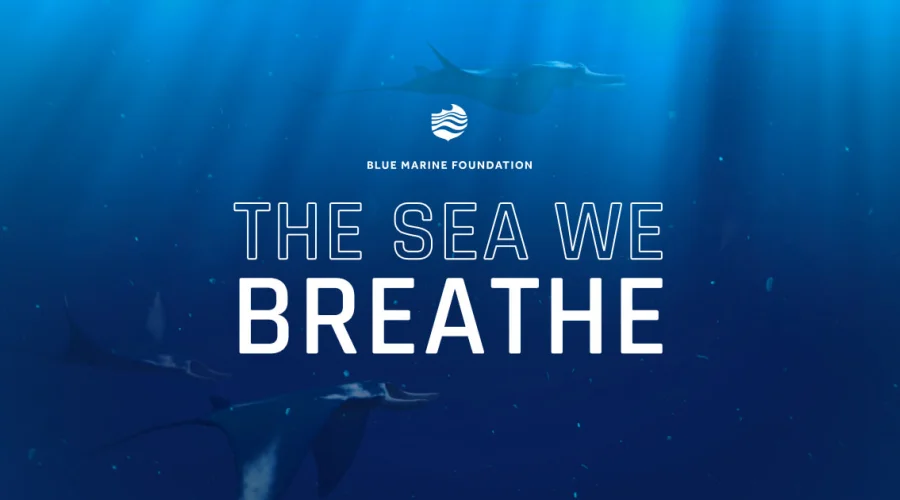 Home - The Sea We Breathe