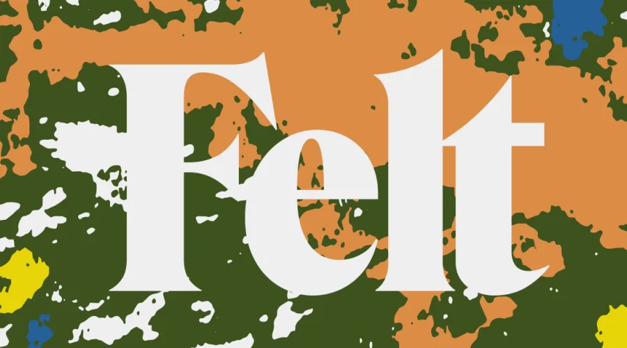 Cloud-Native GIS Software & Online Mapping Platform | Felt