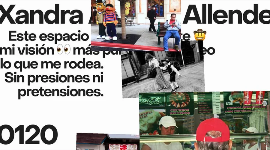 Xandra Alvarez Allende