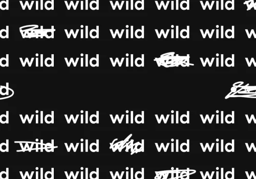 wild. creating digital products for brands.