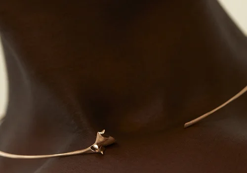 DDNA - Jewelry with meaning