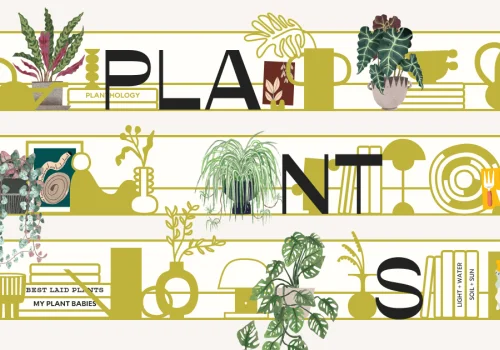 How Many Plants - Indoor and House Plant Resource