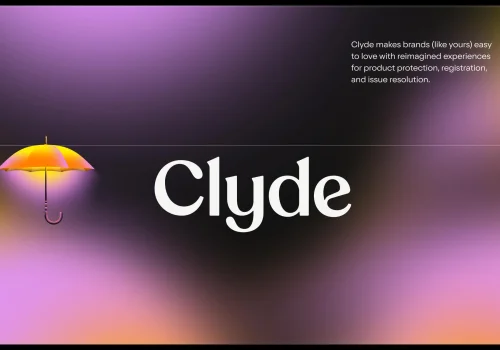 Drive lifetime value and revenue with ownership enrichment | Clyde