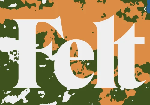 Cloud-Native GIS Software & Online Mapping Platform | Felt