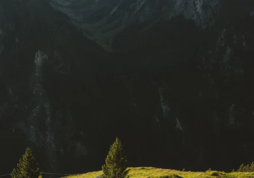 Home | Schulhaus Tirol