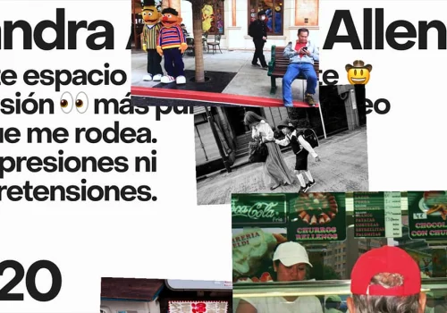 Xandra Alvarez Allende